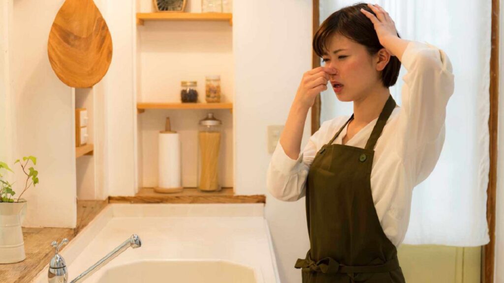 Bí Quyết Khử Mùi Hôi Nhà Tắm Triệt Để Bằng Nguyên Liệu Tự Nhiên - Hình 1