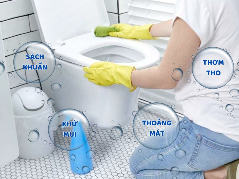 Hướng dẫn vệ sinh và bảo dưỡng thiết bị vệ sinh đúng cách để luôn sạch đẹp - Hình 2